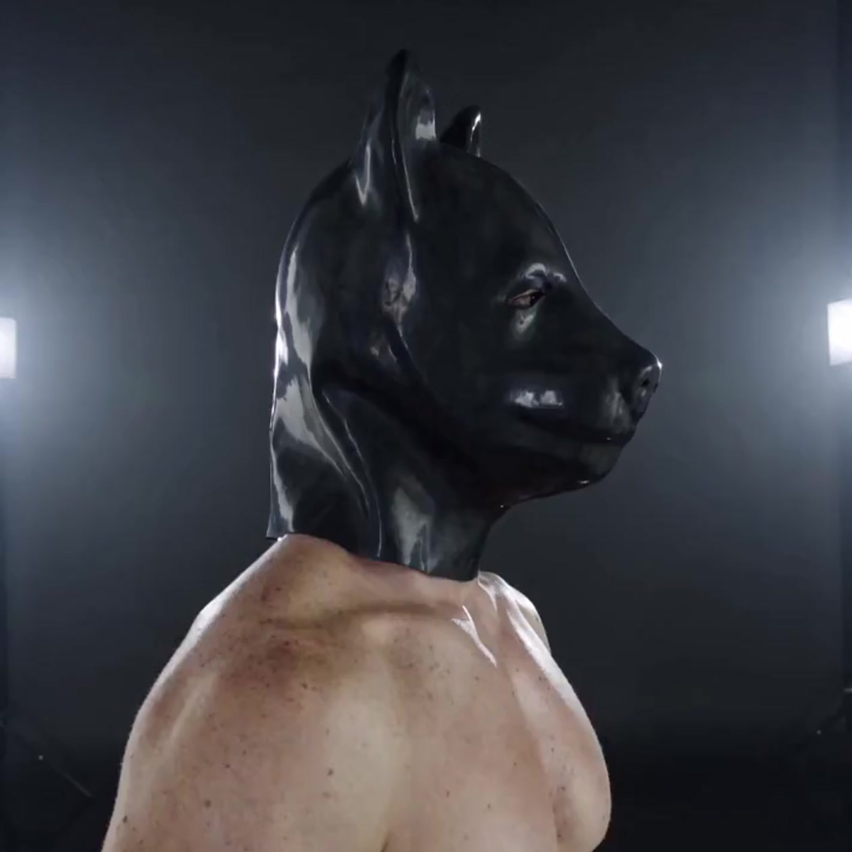 3D Latex-Hundemasken (Dog Head Mask)