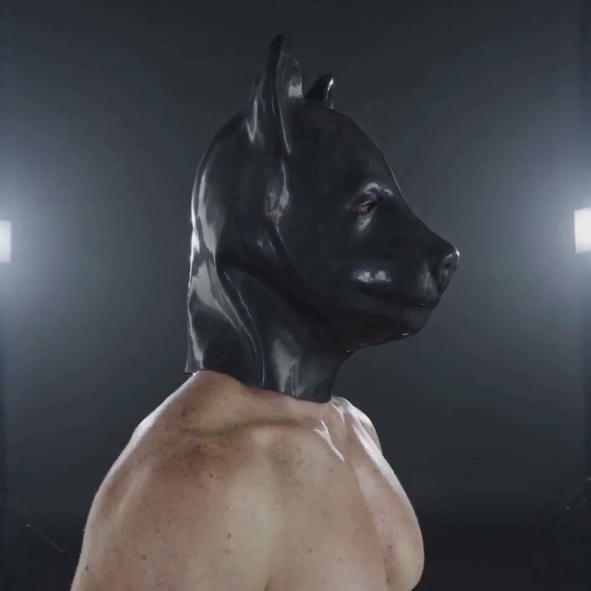 3D Latex-Hundemasken (Dog Head Mask)
