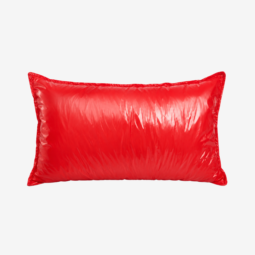 Shiny Nylon Kissenbezug